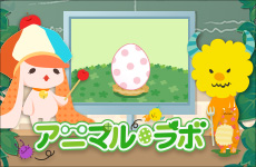 �A�o�^�[�𒅑ւ���<br>�Q�[�����L���ɁI